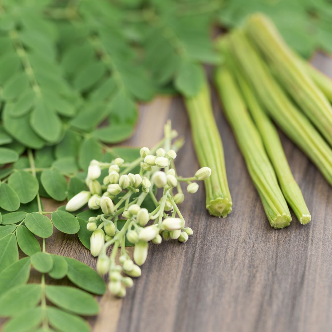 EzMoringa business image in Wausau, Wisconsin